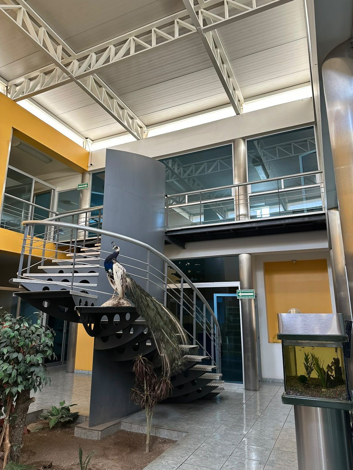 Edificio de oficinas en renta, Las Américas